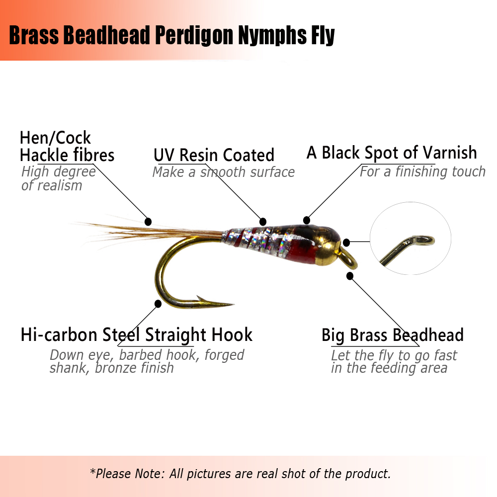 8개 # 12개의 황동 비드 헤드 스페니쉬 페르디곤 님 - Fishing Equipment Europe 리뷰 및 가격